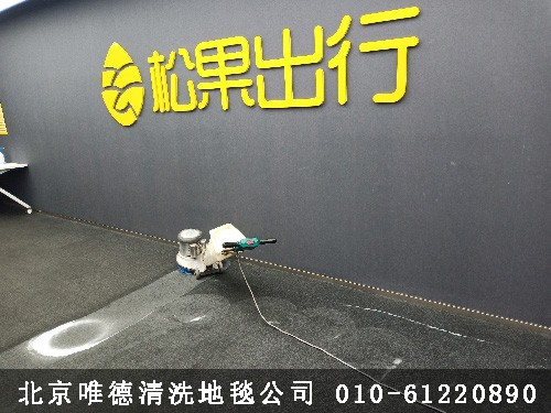 松果出行清洗地毯